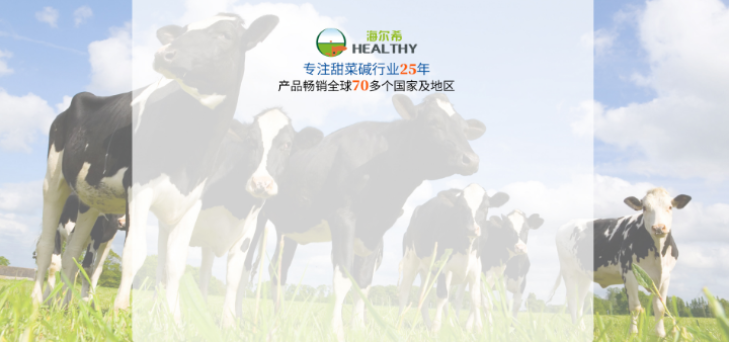 甜菜堿飼料添加劑
