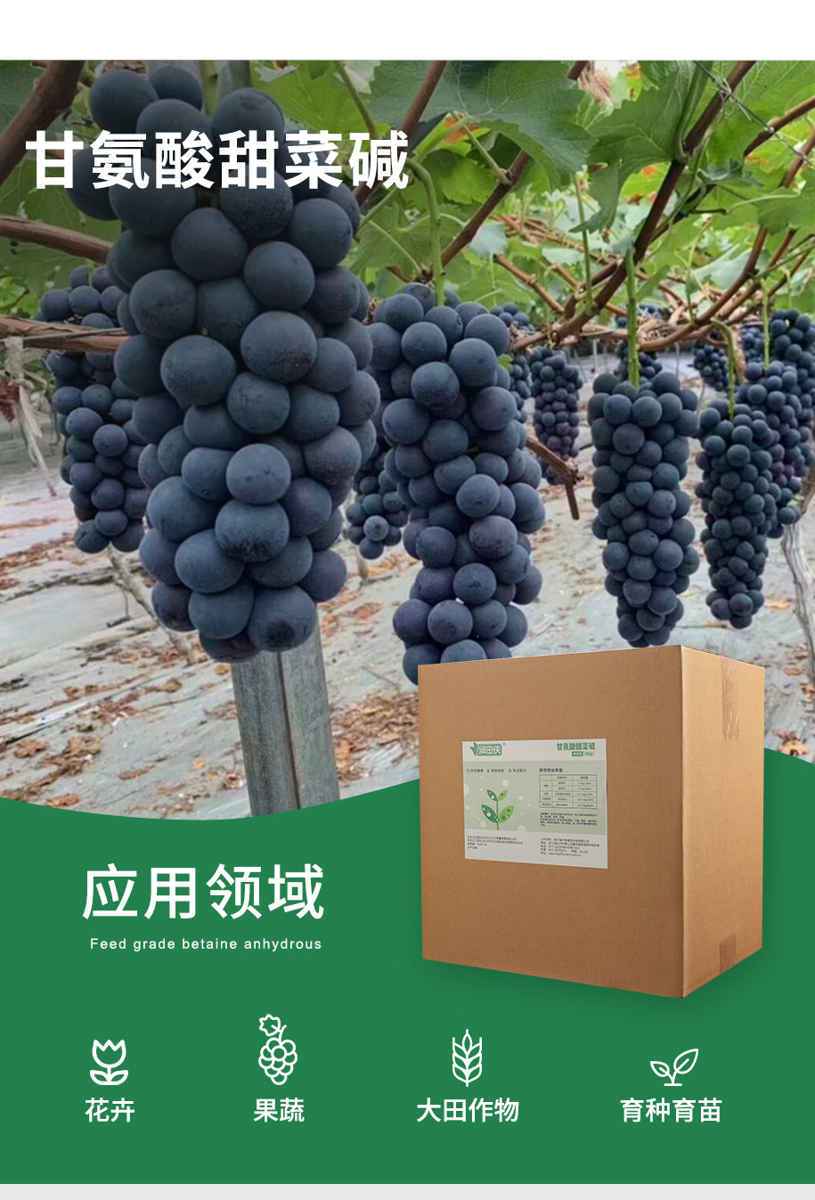 甘氨酸甜菜堿