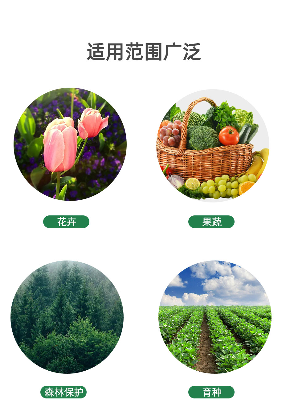 甘氨酸甜菜堿