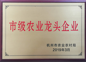 市級農(nóng)業(yè)龍頭企業(yè) 市級農(nóng)業(yè)龍頭企業(yè)